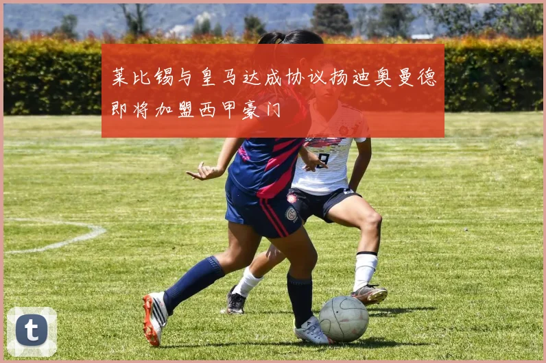 莱比锡与皇马达成协议扬迪奥曼德即将加盟西甲豪门
